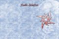 Filename=1997-05-15_BoiseID_NTSC_3audio.jpg
Filesize=339KiB
Dimensions=720x480
Date added=Oct 17, 2005 1997-05-15_BoiseID_NTSC_3audio.jpg