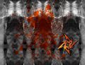 Filename=FullMetalClarity_2inlay.jpg
Filesize=196KiB
Dimensions=600x461
Date added=Dec 29, 2004 FullMetalClarity_2inlay.jpg