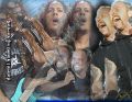 Filename=2004-10-01_AuburnHillsMI_3inlay.jpg
Filesize=311KiB
Dimensions=600x465
Date added=Jun 15, 2005 2004-10-01_AuburnHillsMI_3inlay.jpg