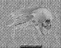 Filename=1994-08-05_DallasTX_3inlay.jpg
Filesize=141KiB
Dimensions=583x465
Date added=Aug 19, 2005 1994-08-05_DallasTX_3inlay.jpg