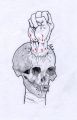 Filename=skull_fist.jpg
Filesize=41KiB
Dimensions=422x650
Date added=Nov 28, 2008 skull_fist.jpg